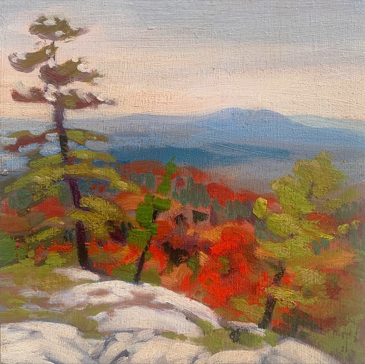 clouds, moody, field, green. oil, oils, Alberta, prairie, Ontario