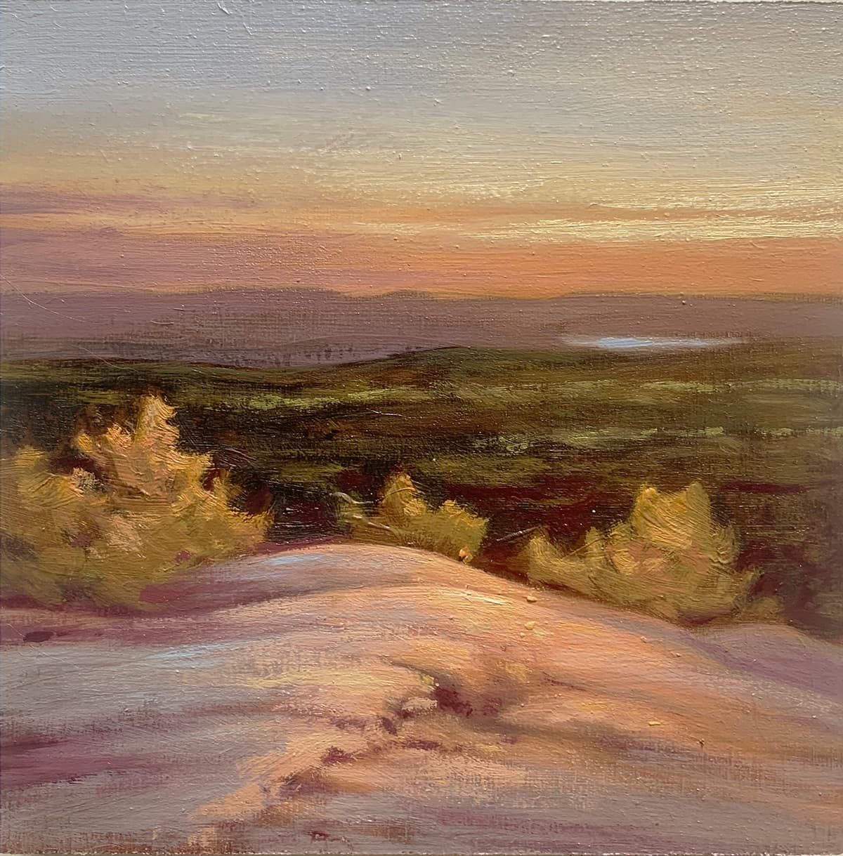 clouds, moody, field, green. oil, oils, Alberta, prairie, Ontario