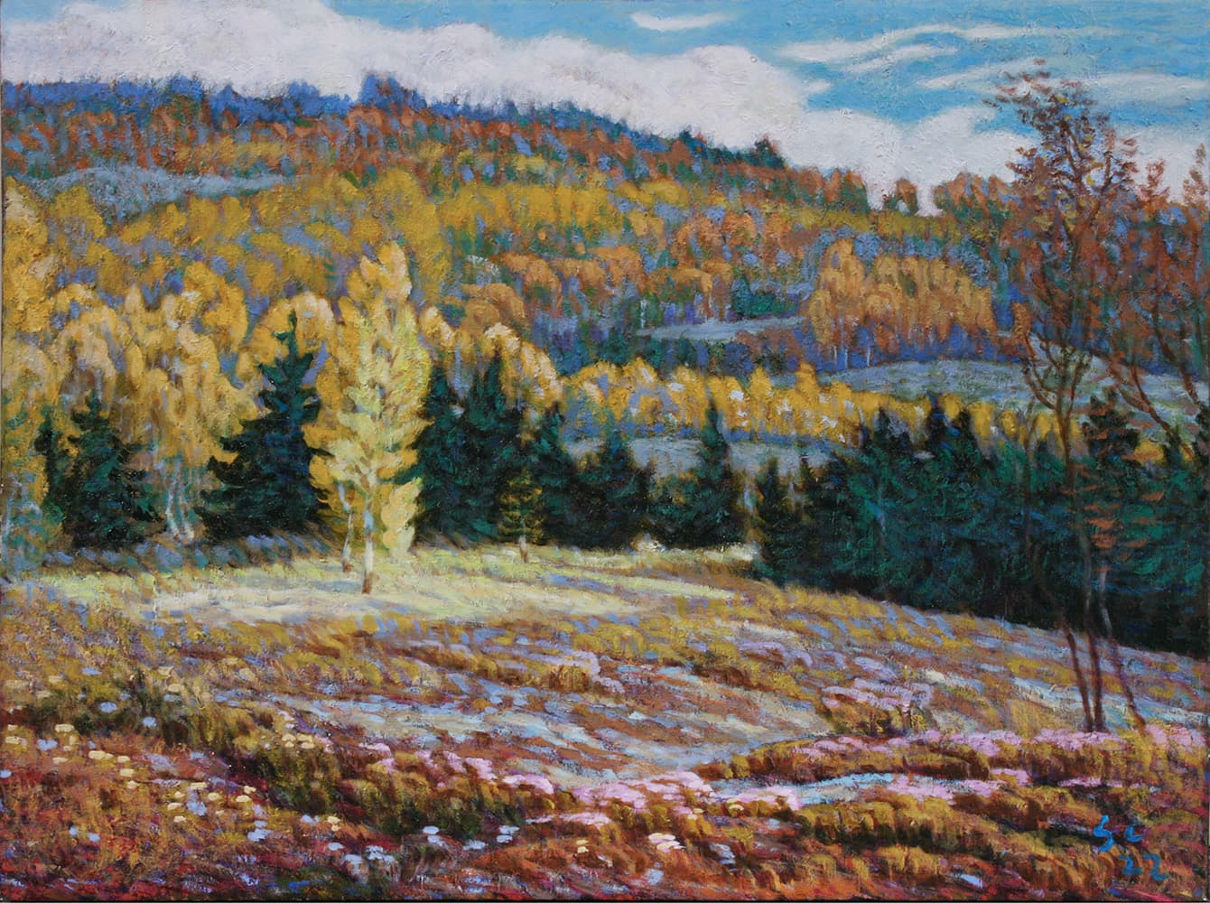 Ontario, Impressionism, Szechuan, landscape, vivid, marsh, fields