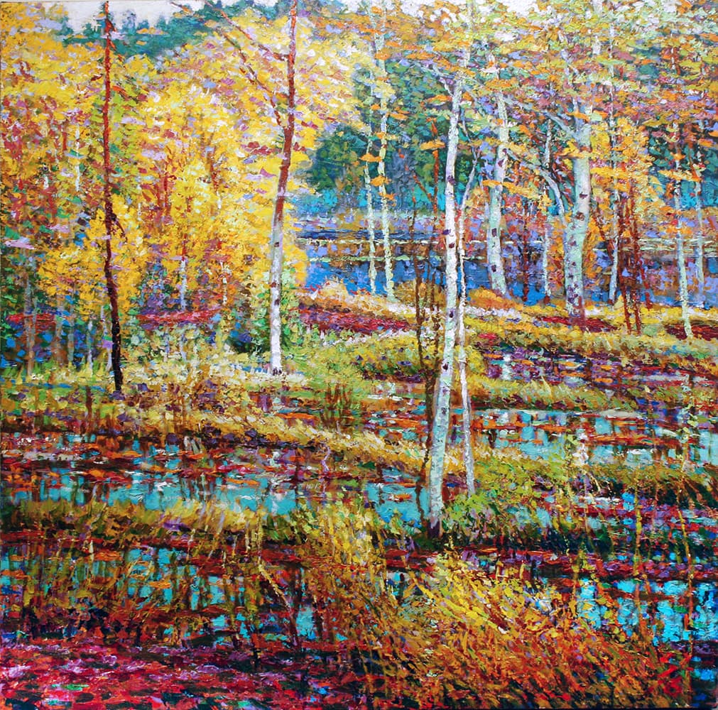 birches, Ontario, fall color