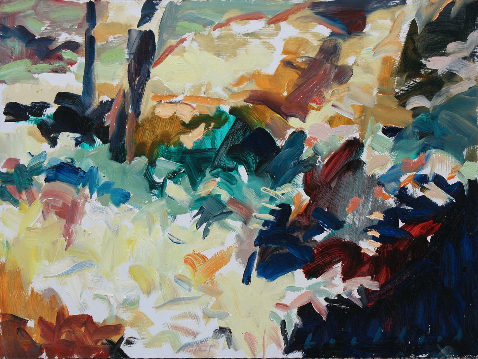 Regina Five, forest opening, Ontario, Colour, Lighting, trees, brush, underbrush