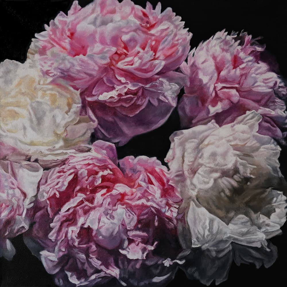 flowers, peonies, Rembrandt, oil paintings, Roses, realism