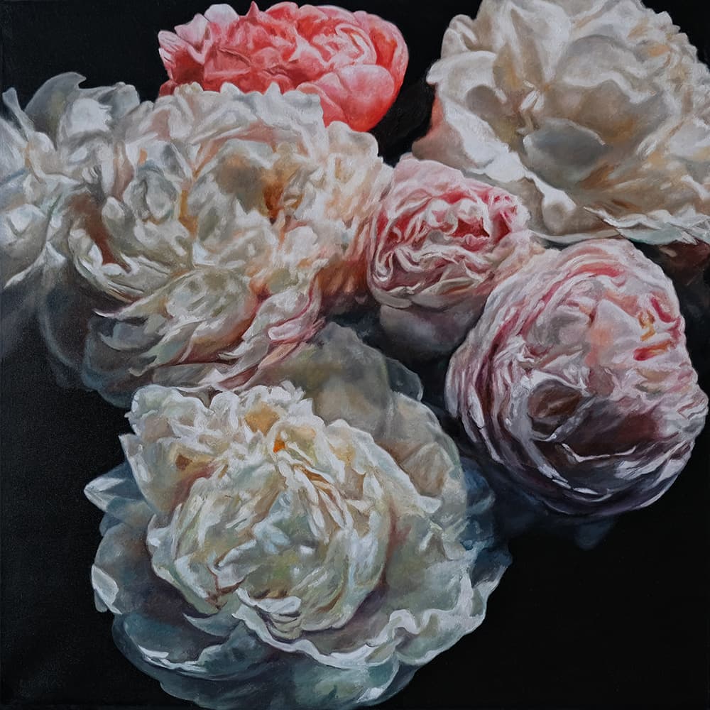 flowers, peonies, Rembrandt, oil paintings, Roses, realism