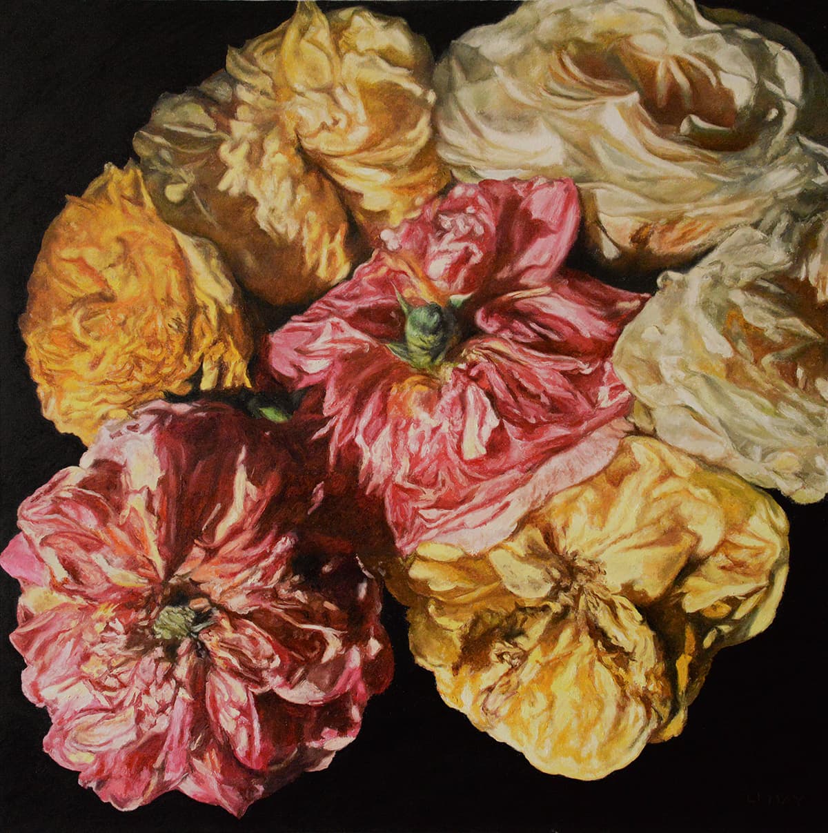 flowers, realism, Canadian art, renaissance, contemporary art, Alberta artist, late stages, change