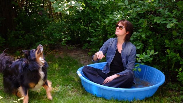 dog, artist, tub, pool, silly