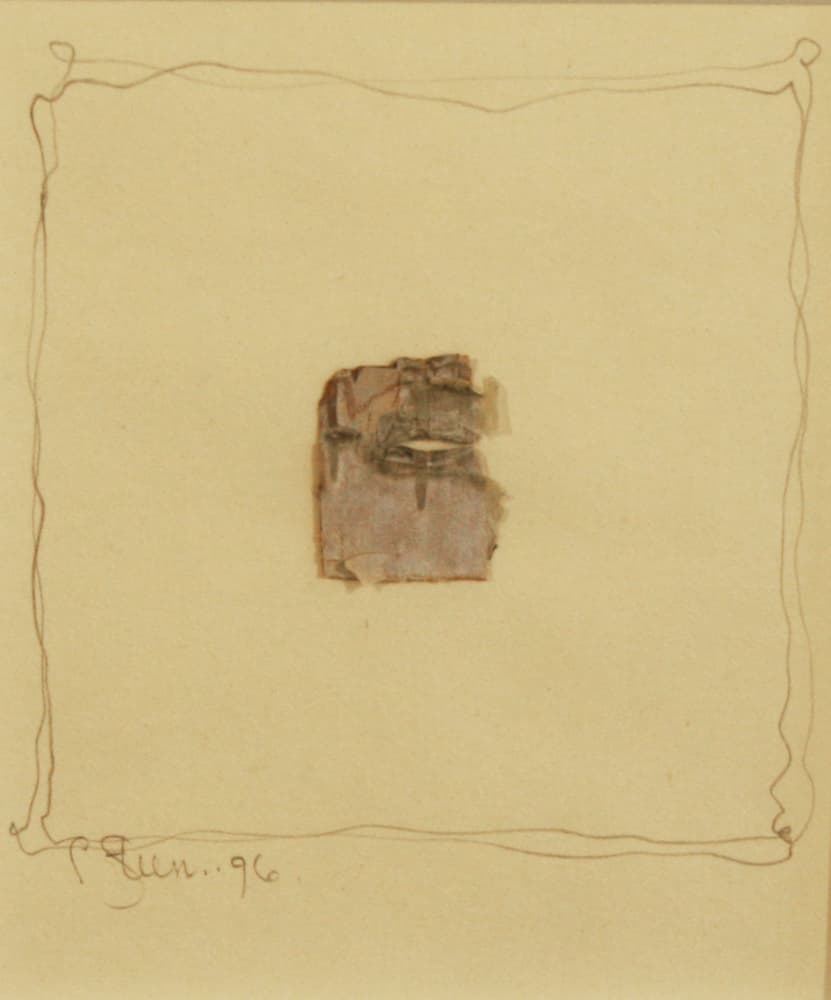 Calgary, abstract, mixed media, drawing, bark, nature, landscape, hidden