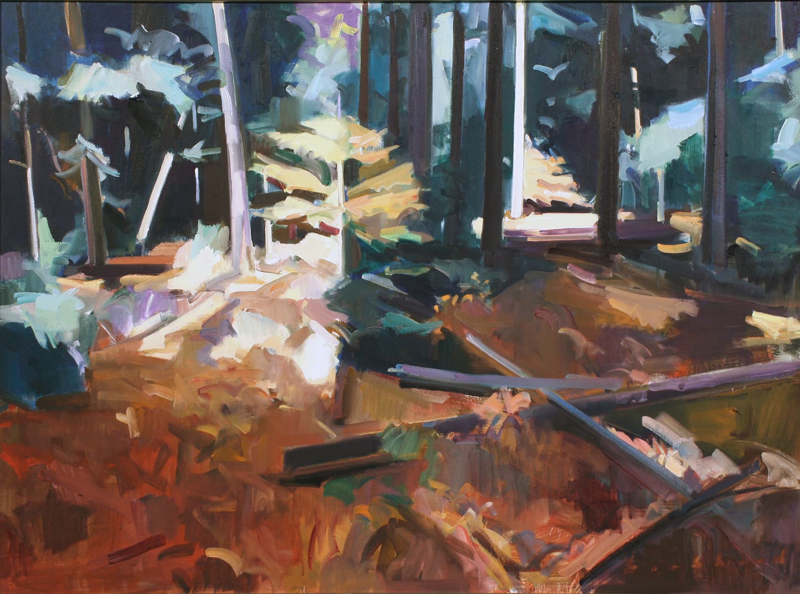 summer, warmth, Treed, forest, studio view, Regina 5, fall, red