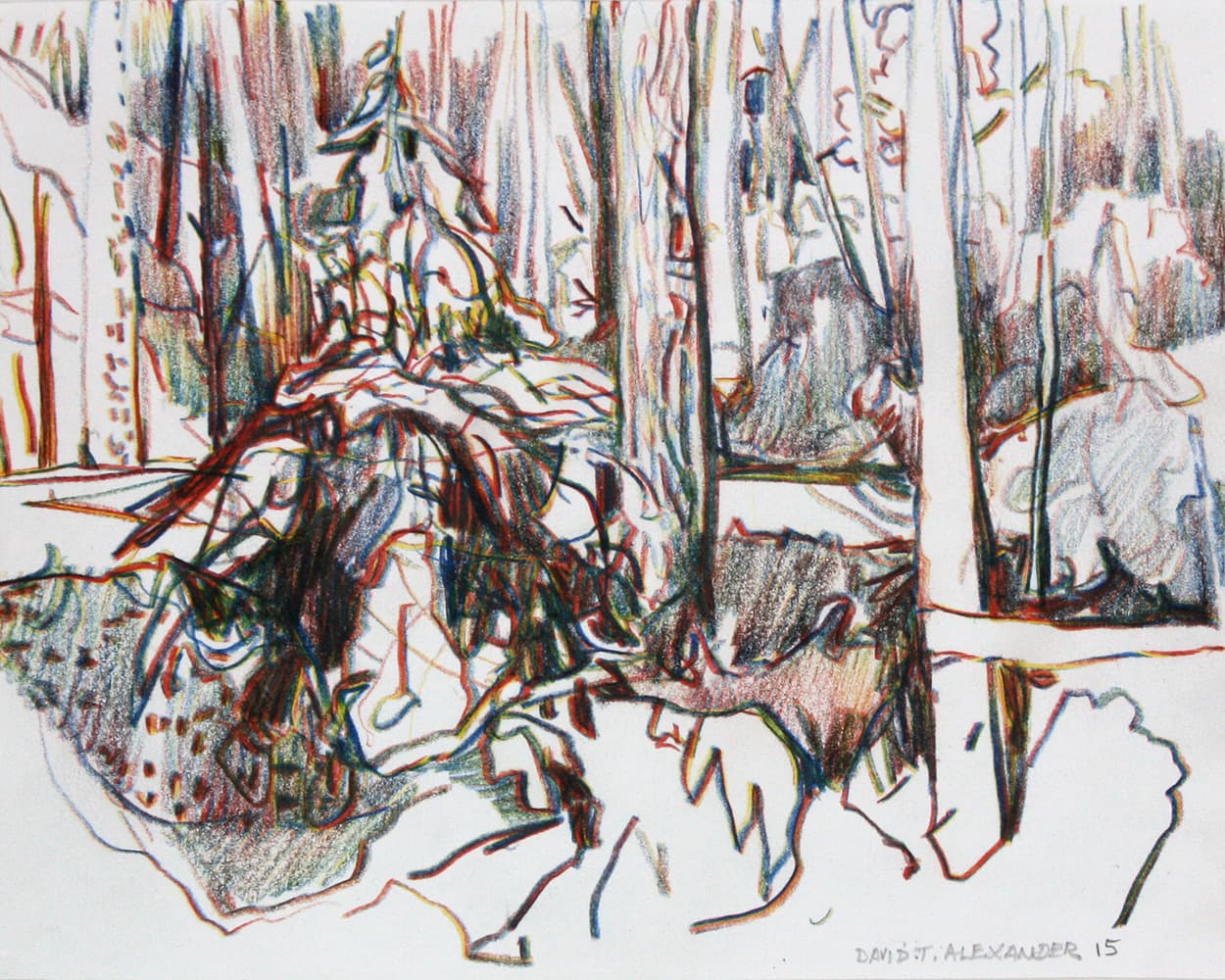 depth, impressionistic, British Columbia, Saskatchewan, landscape, drawing, impressionism, complimentary, Okanagan, perspective, calm, multi-colored, forest, coloured pencil, uprooted, sketch
