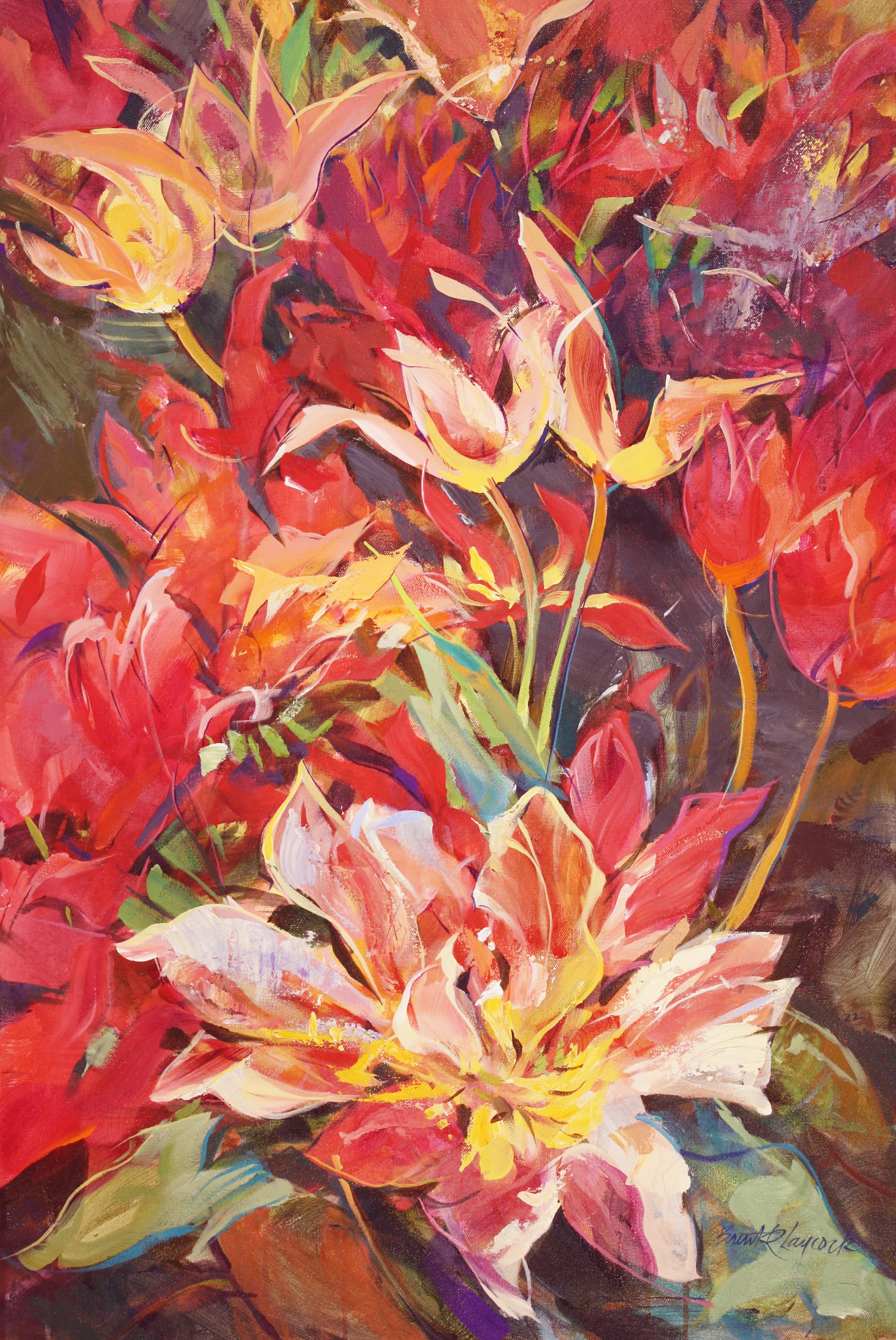 bright red open tulips