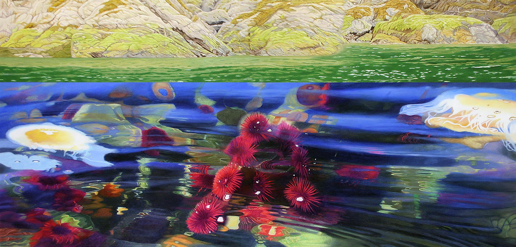 Kelowna, realism, Calgary, artist residency, winter scene, light, landscape, cloudy, panorama, ocean, egg, Haida, Queen Charlotte Islands, coast, jelly fish, coral, seaweed, water