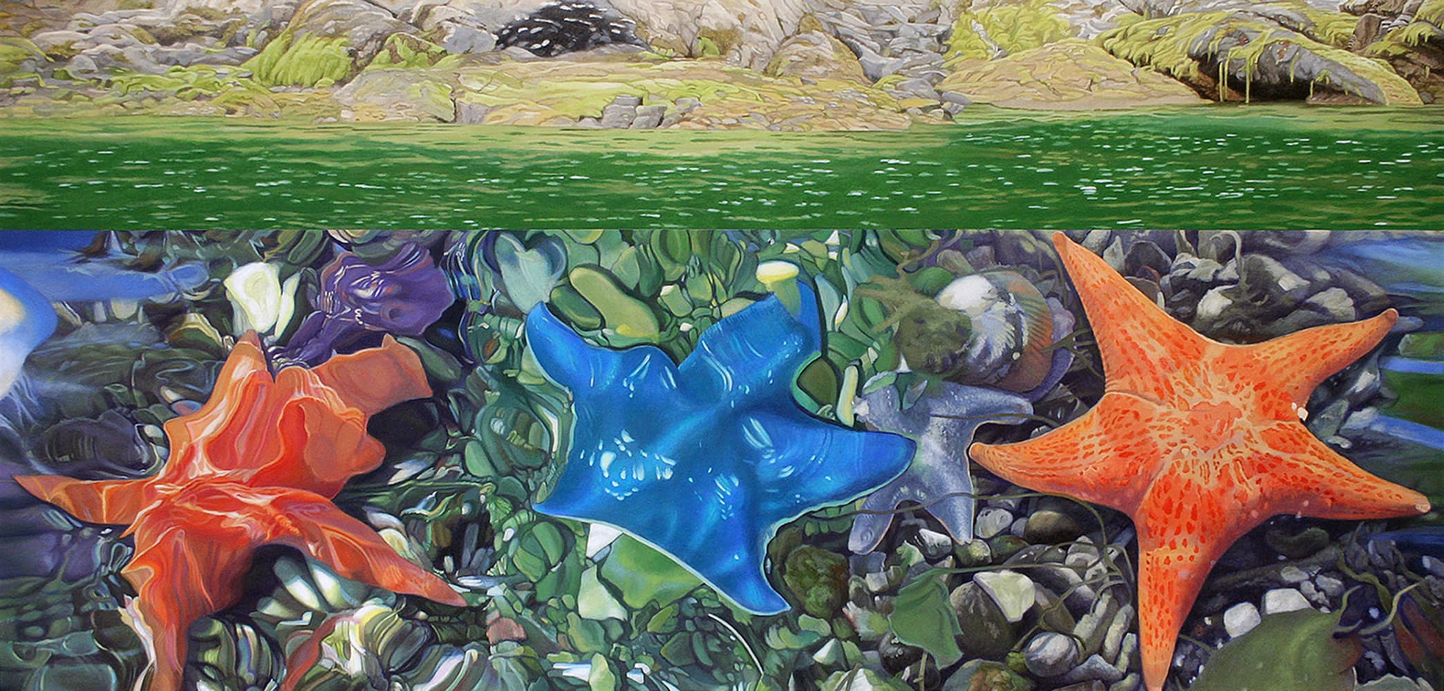 Kelowna, realism, Calgary, artist residency, winter scene, light, landscape, cloudy, panorama, ocean, Haida, Queen Charlotte Islands, coast, star fish, waterline