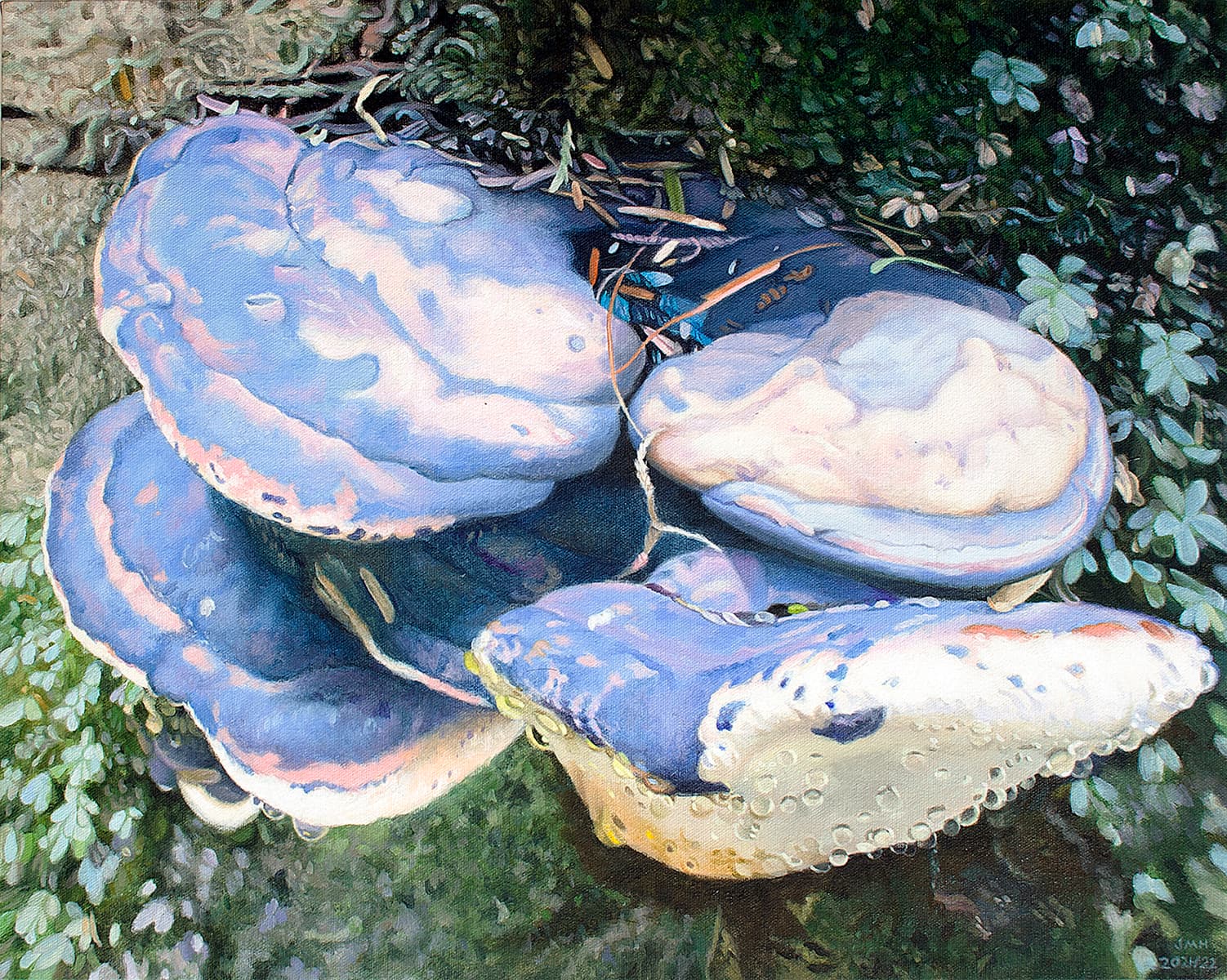 Haida Gwaii, realism, Queen Charlotte Islands, artist residency, bracket fungus