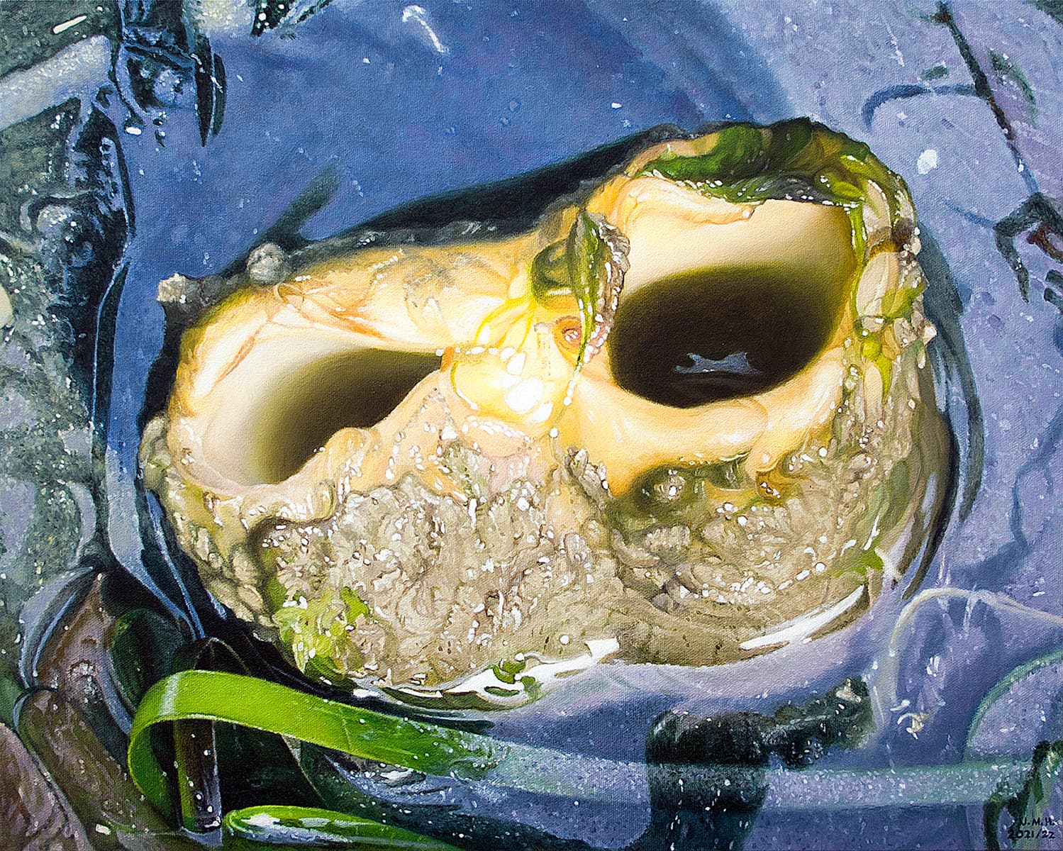 Haida Gwaii, realism, Queen Charlotte Islands, artist residency, flora, fauna