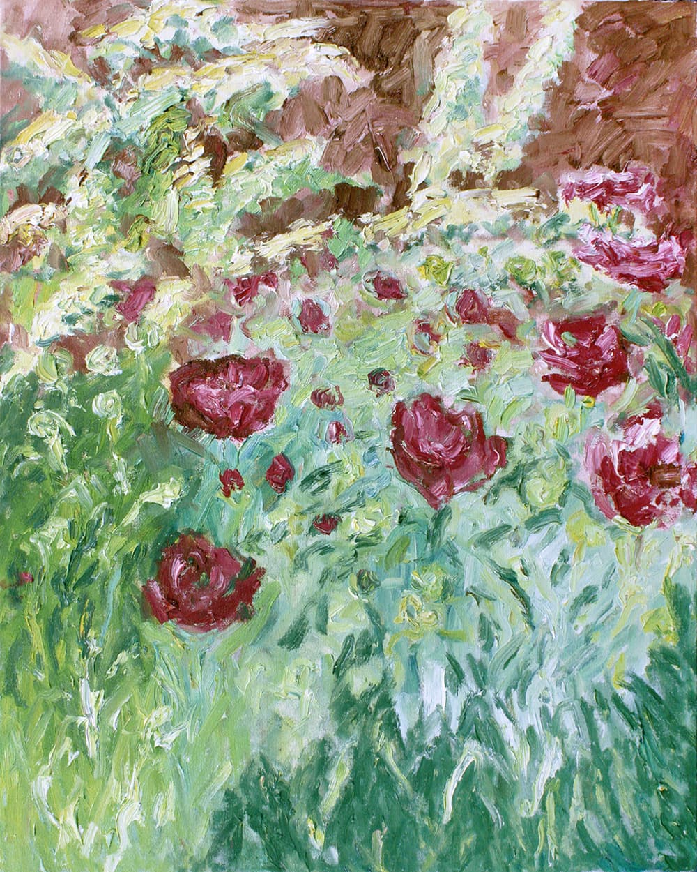 Emma Lake, Rose, flowers, garden, mix, Saskatoon