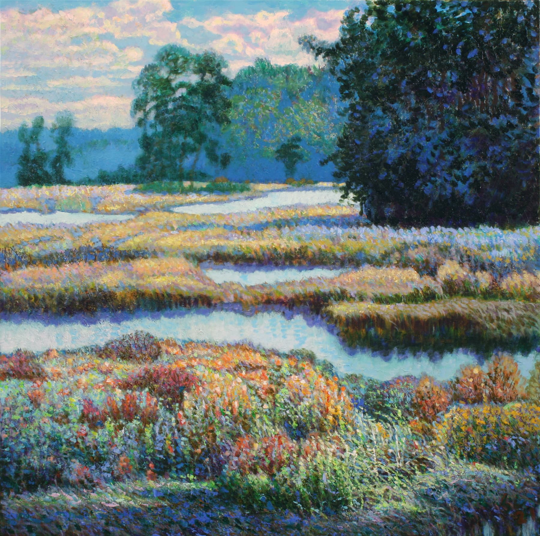 Ontario, Impressionism, Szechuan, landscape, vivid, marsh, river national park, texture, stream