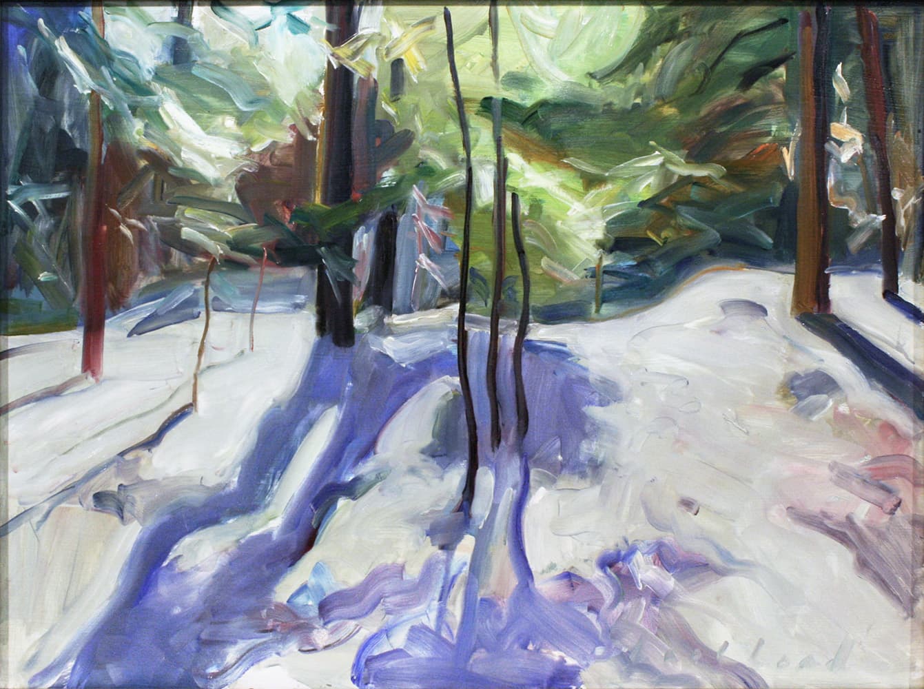 Regina Five, Saskatchewan, Alberta, Modern art, contemporary art gallery, lake, pathway, Ottawa, sailing, forest interior, trees