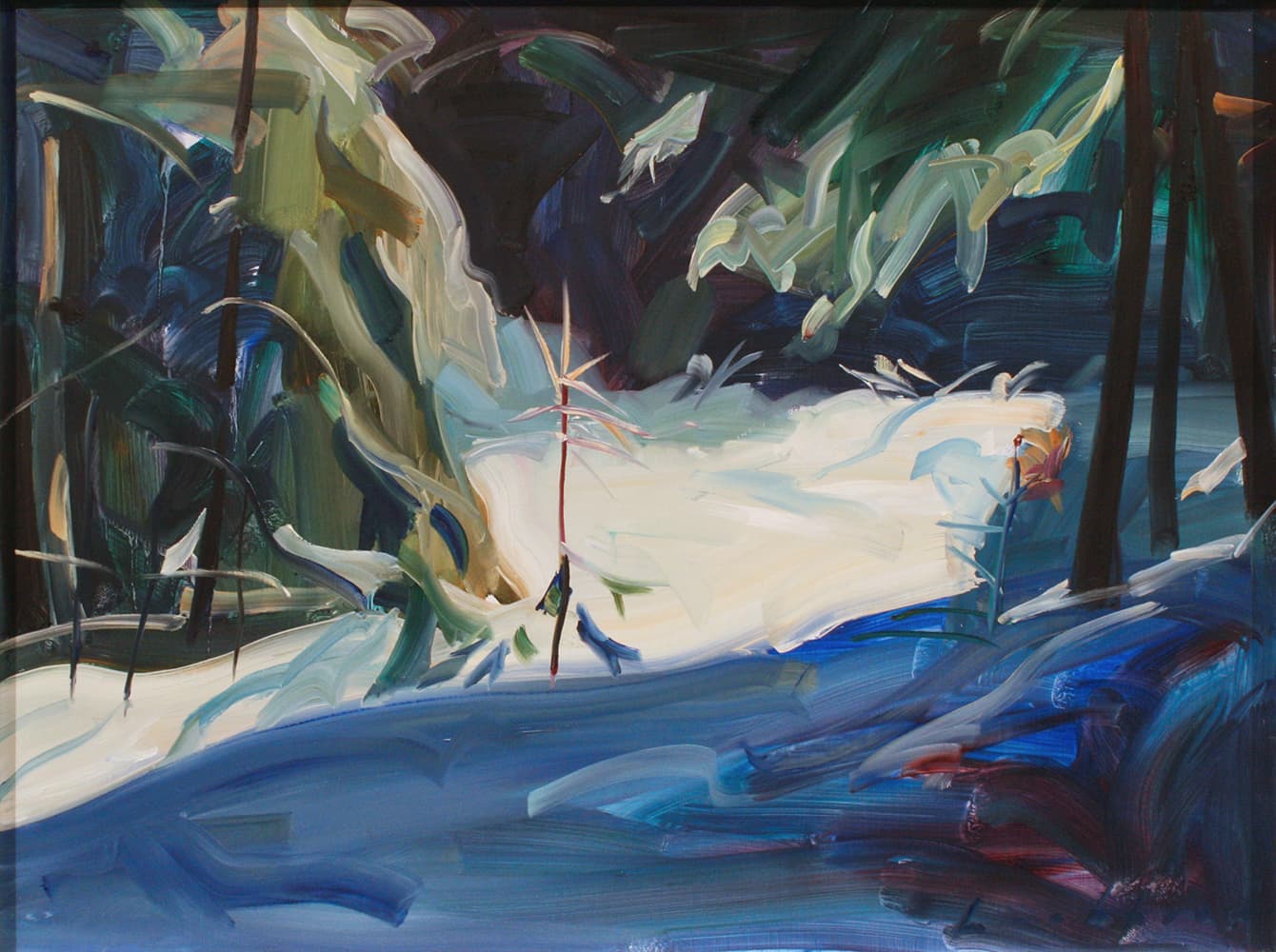 Regina Five, Saskatchewan, Alberta, Modern art, contemporary art gallery, lake, pathway, Ottawa, sailing, forest interior, trees, shadows