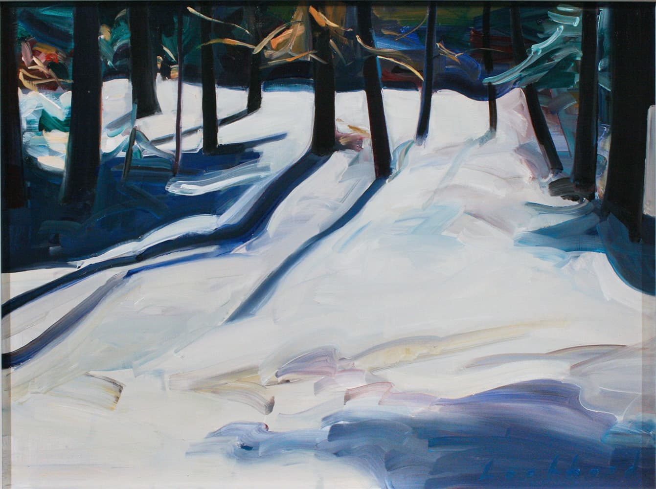 Regina Five, Saskatchewan, Alberta, Modern art, contemporary art gallery, lake, pathway, Ottawa, sailing, forest interior, trees, dramatic lighting