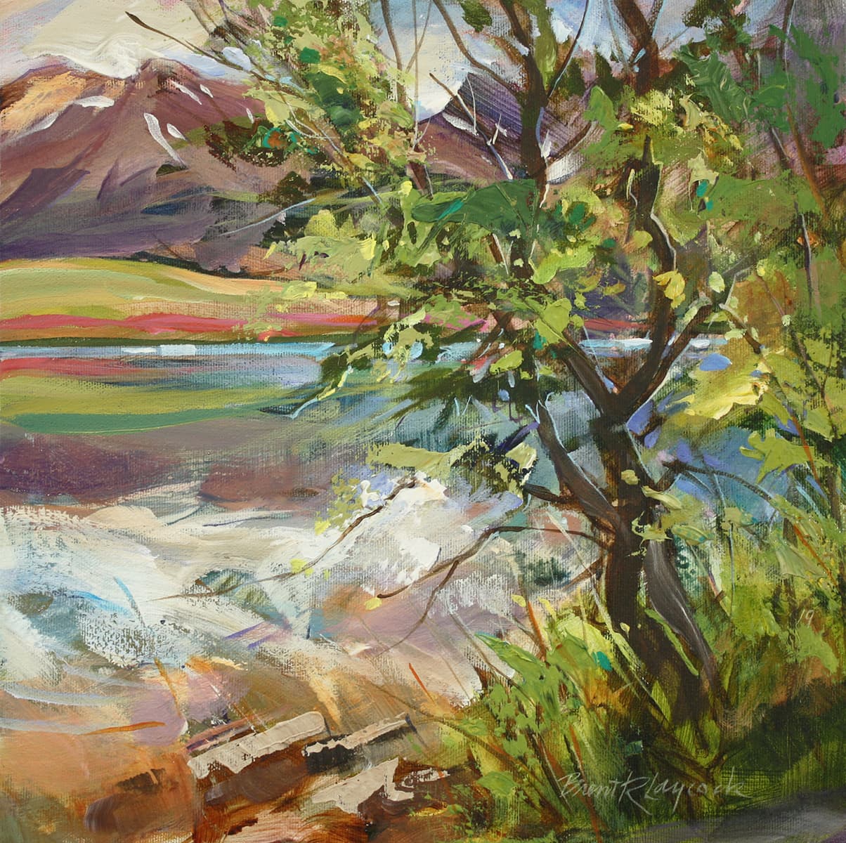 reflections, water, painterly, bright, soft color