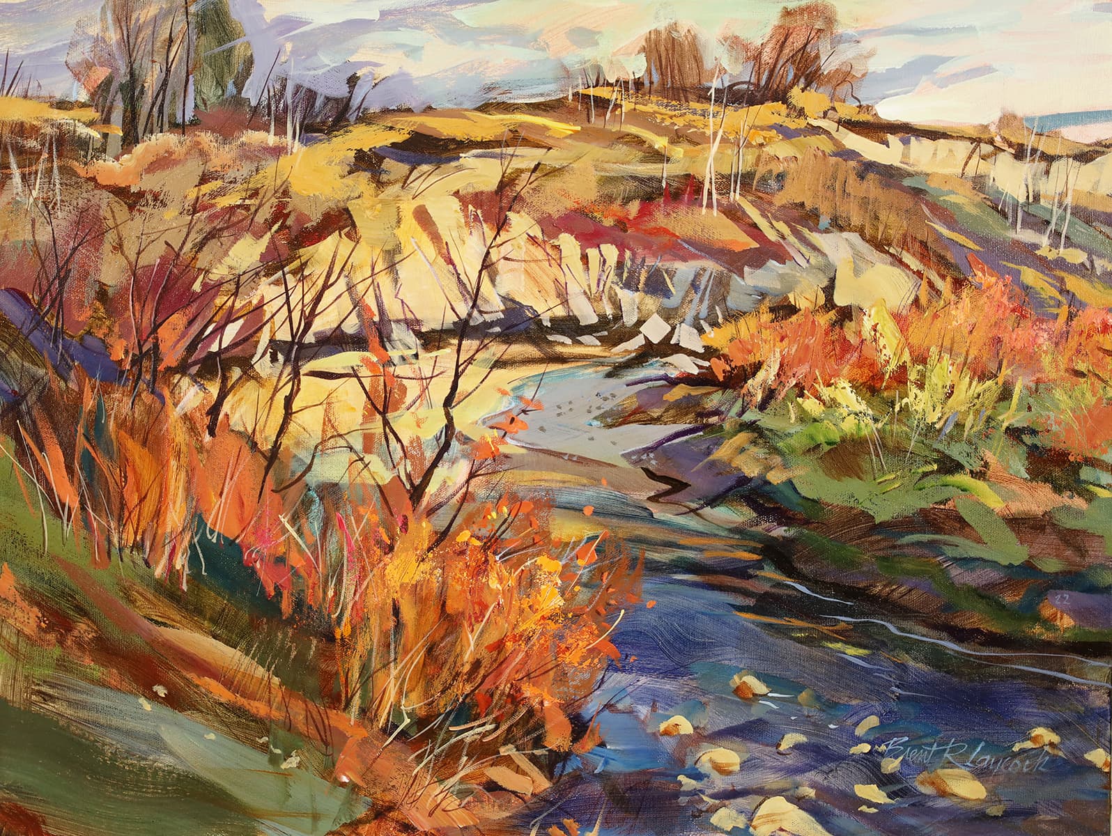 Sandstone, rock formation, water, meandering stream, bright colours