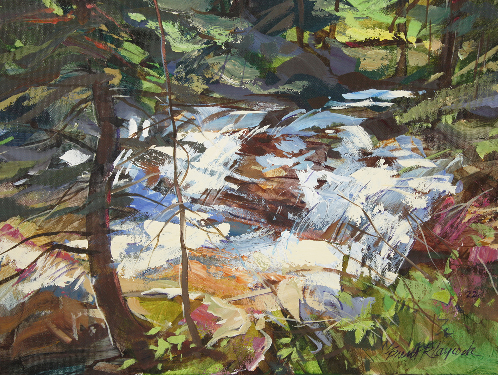creek bed, water, Waterton, river flow