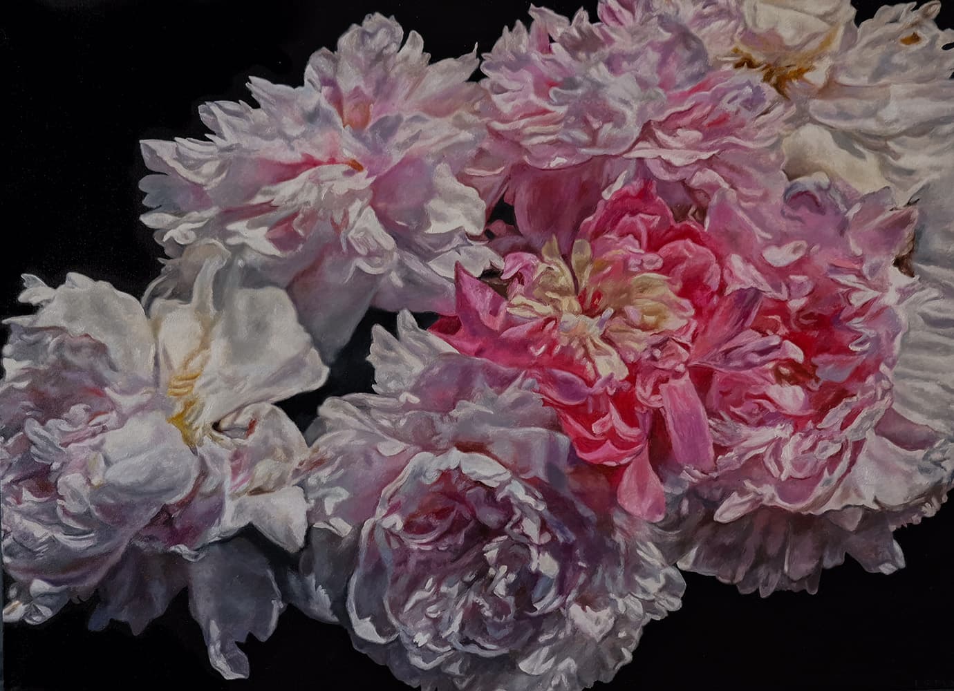 flowers, peonies, Rembrandt, oil paintings, Roses, realism