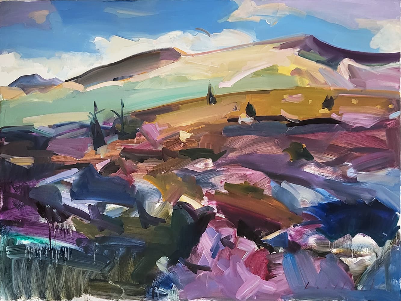 Regina Five, Saskatchewan, Alberta, Modern art, contemporary art gallery, Pincher Creek, Mountains, hike, Mount Assiniboine, landscape