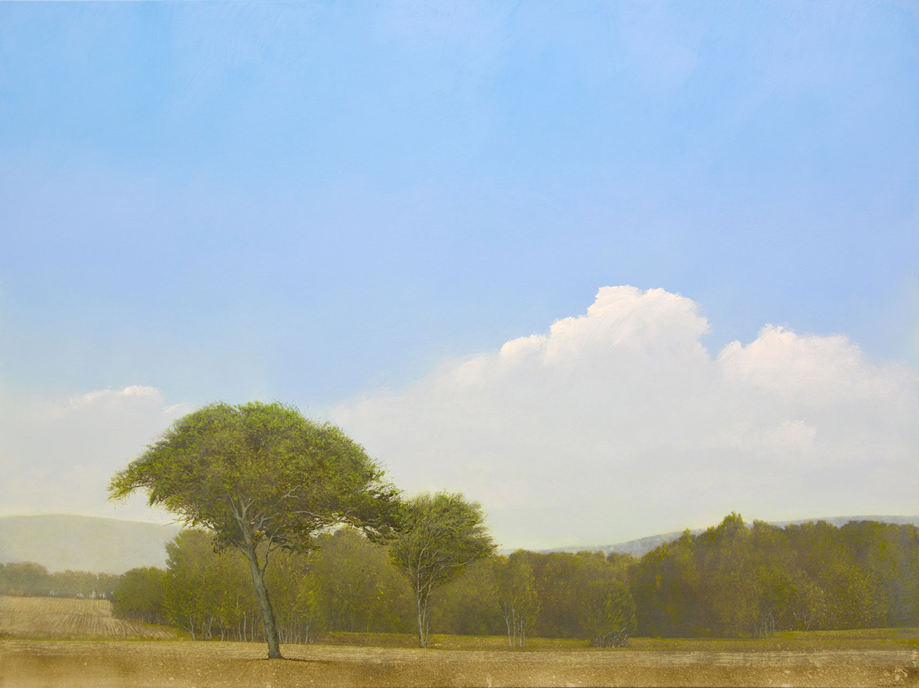 cloud bank, tree, deciduous, purple, fantasy, portrait, landscape, serene