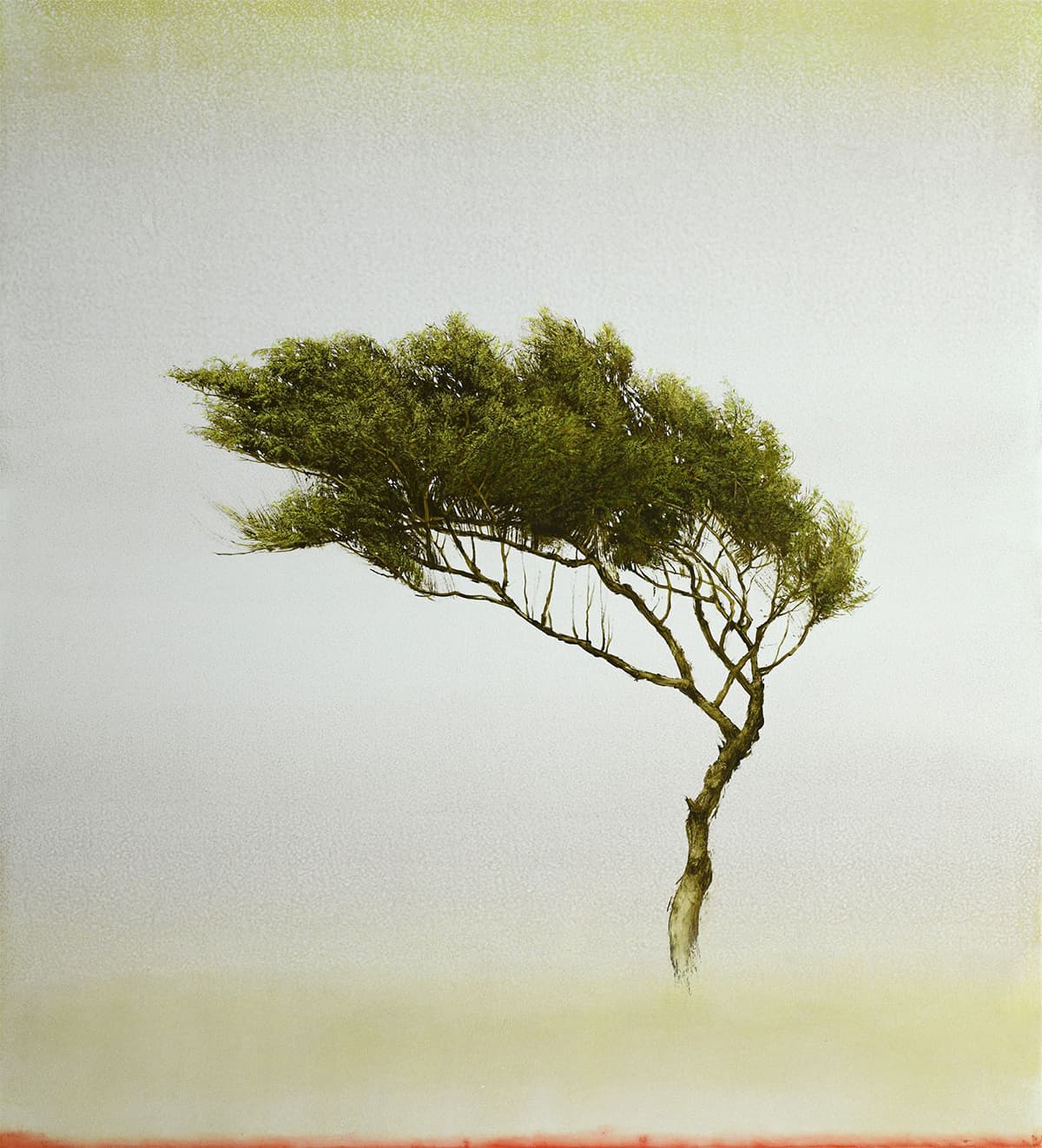 cloud bank, tree, deciduous, yellow, fantasy, portrait, landscape, shelter