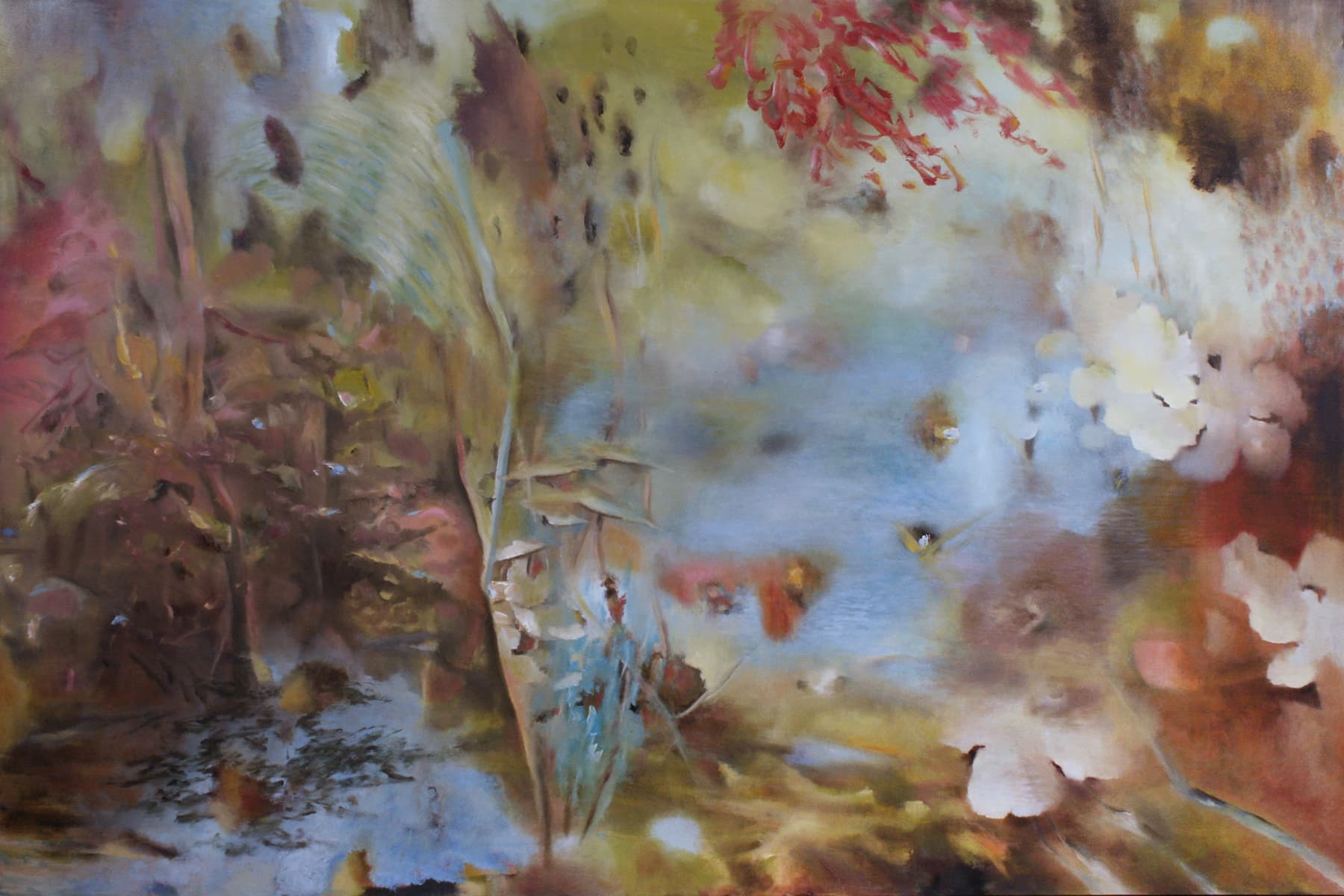 pond, petal, abstraction, soft, colourful, etherial, Calgary