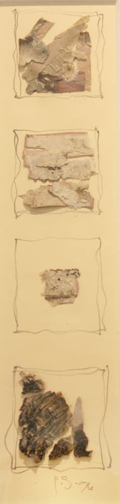 Calgary, abstract, mixed media, drawing, bark, nature, landscape, hidden