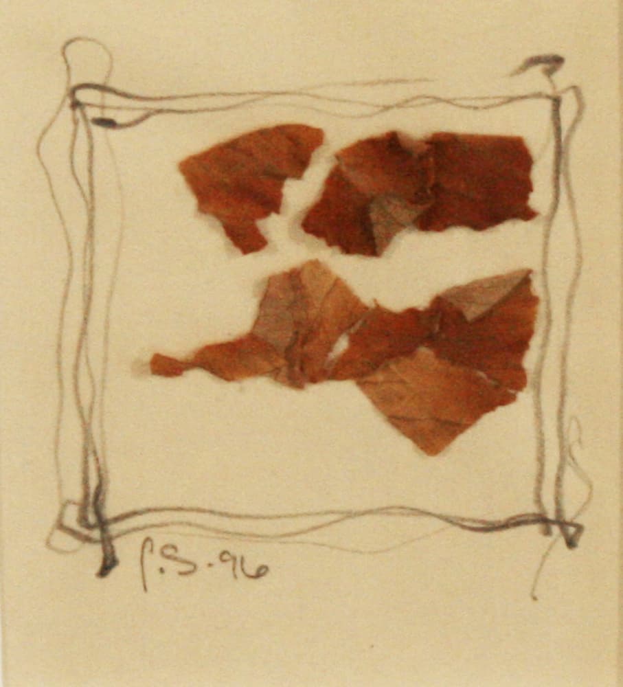 Calgary, abstract, mixed media, drawing, bark, nature, landscape, hidden, leaf, leaves