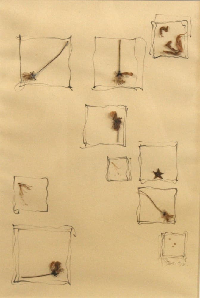 Calgary, abstract, mixed media, drawing, bark, nature, landscape, hidden