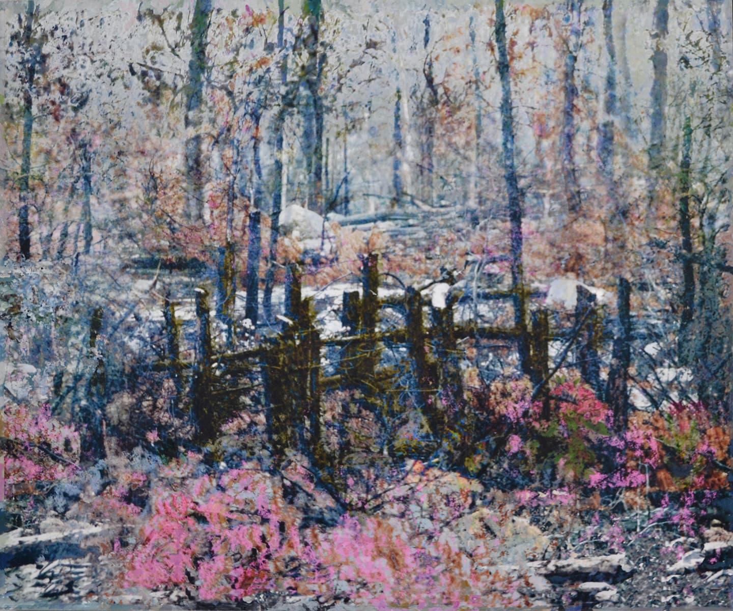 layers, trees, mixed media, Edmonton, pink, walking, fall, bridge