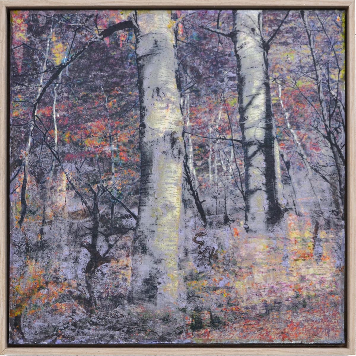 layers, trees, mixed media, Edmonton, pink, purple, walking, forest