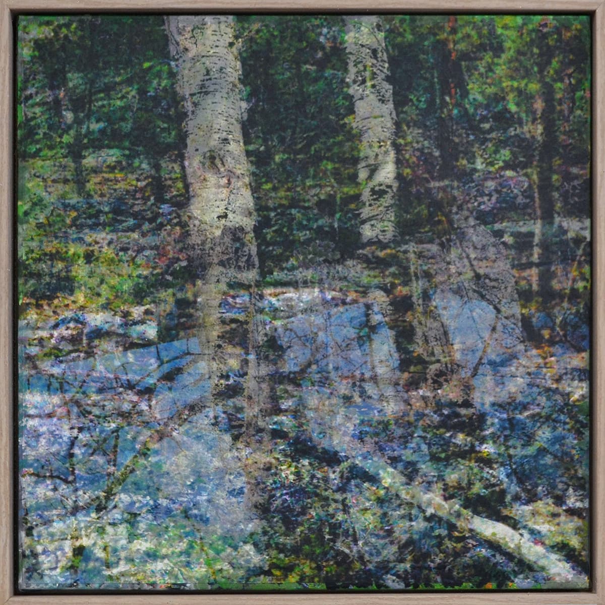 layers, trees, mixed media, Edmonton, blue, green, walking, forest