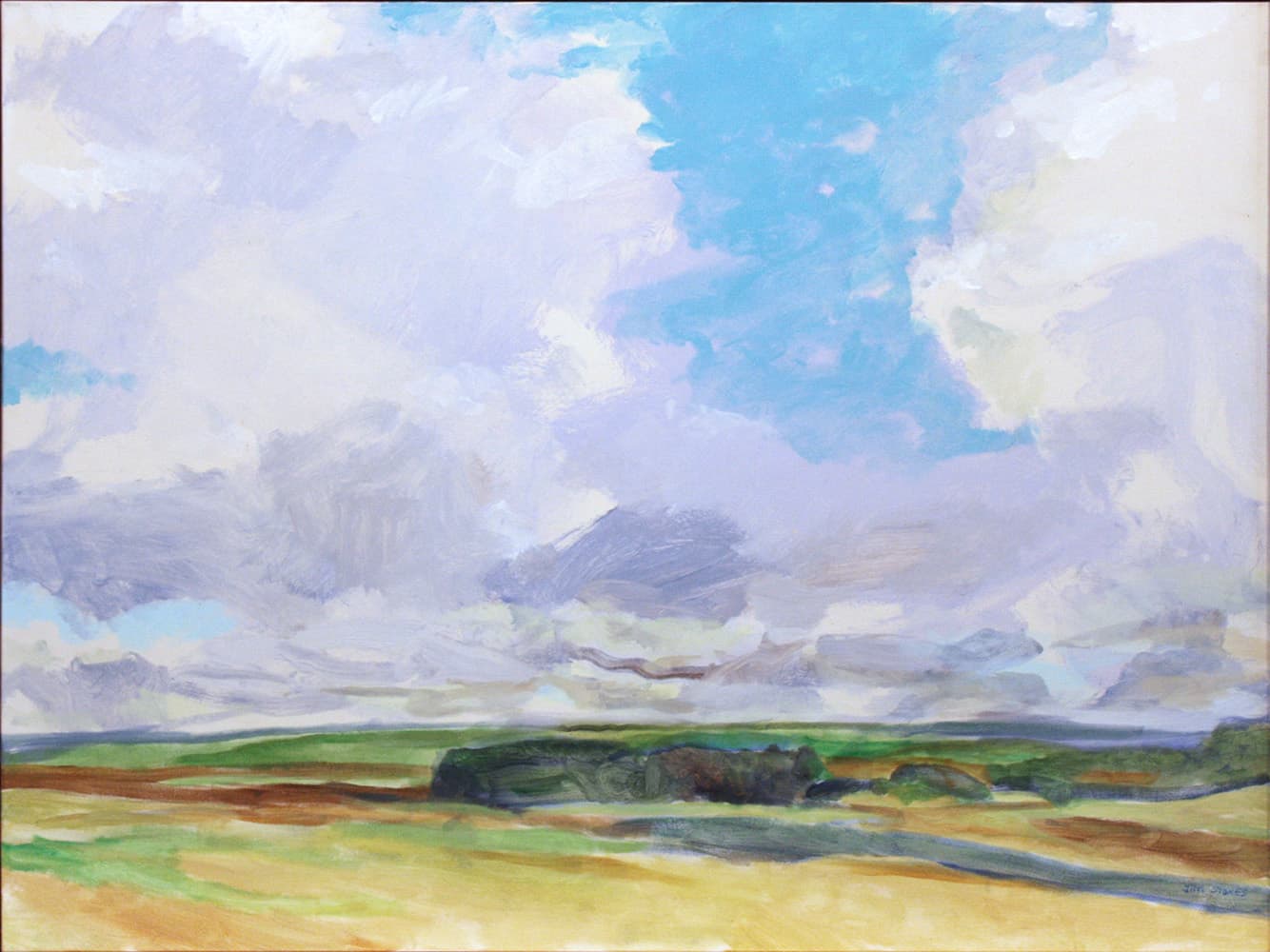 Grande Prairie, Alberta artist, landscape, prairies, dramatic, impressionistic, painterly, yellow, soft hues