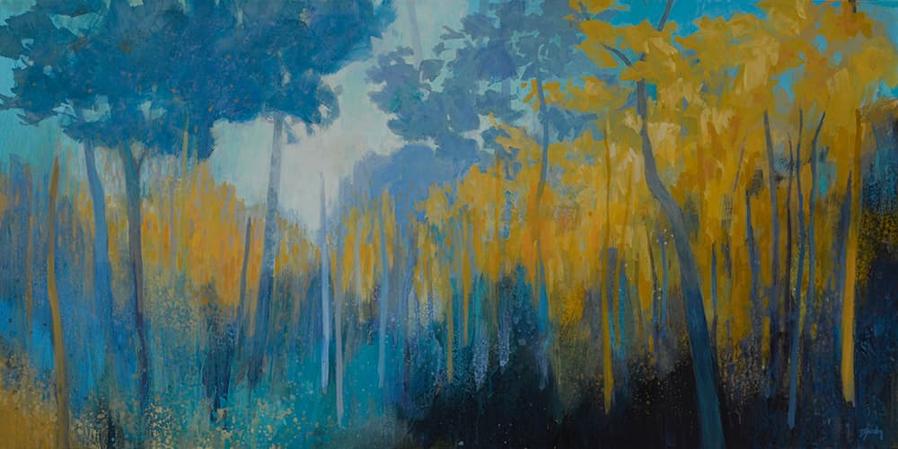 soft colours, off trail, old landscape, aspen, forest