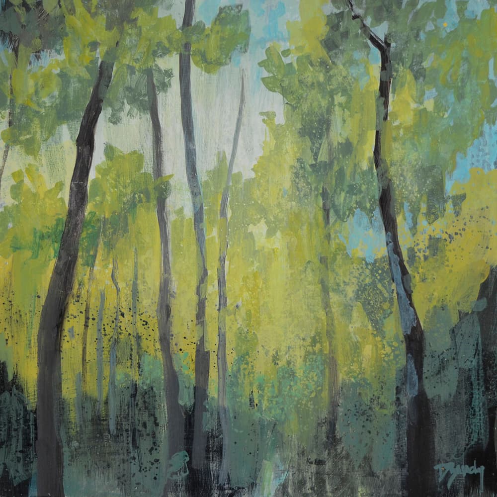 soft colours, off trail, old landscape, canopy, foliage, green, leafy