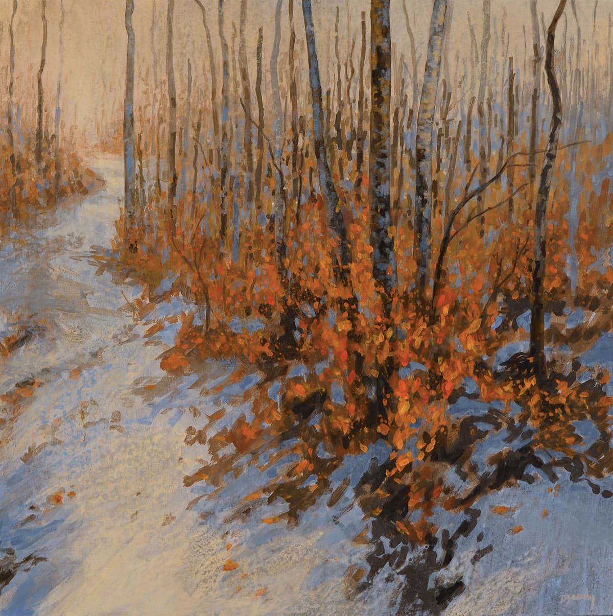 Landscape, Lethbridge, Alberta Landscape, Canadian, winter, path, subdued