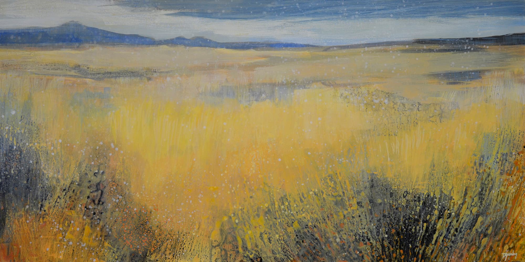 soft colours, off trail, old landscape, prairies, yellow, fields
