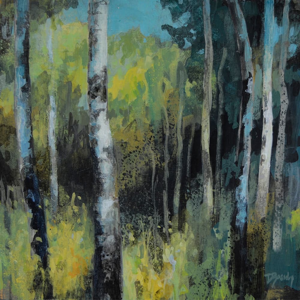 soft colours, off trail, old landscape, aspen, forest