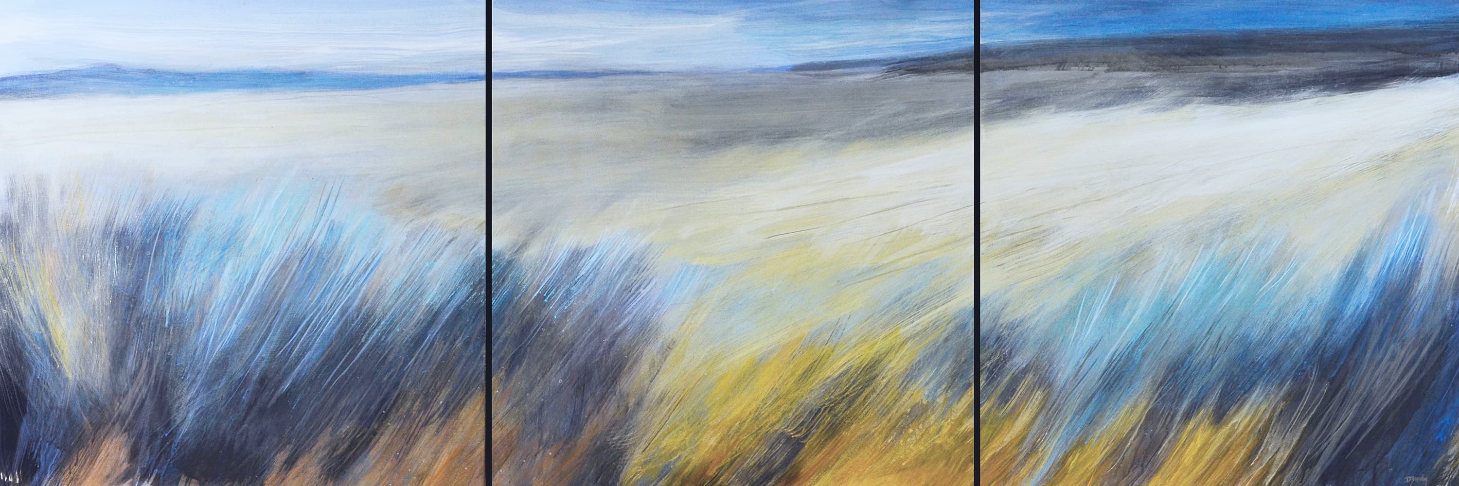 prairie, Lethbridge, Saskatchewan, grasslands