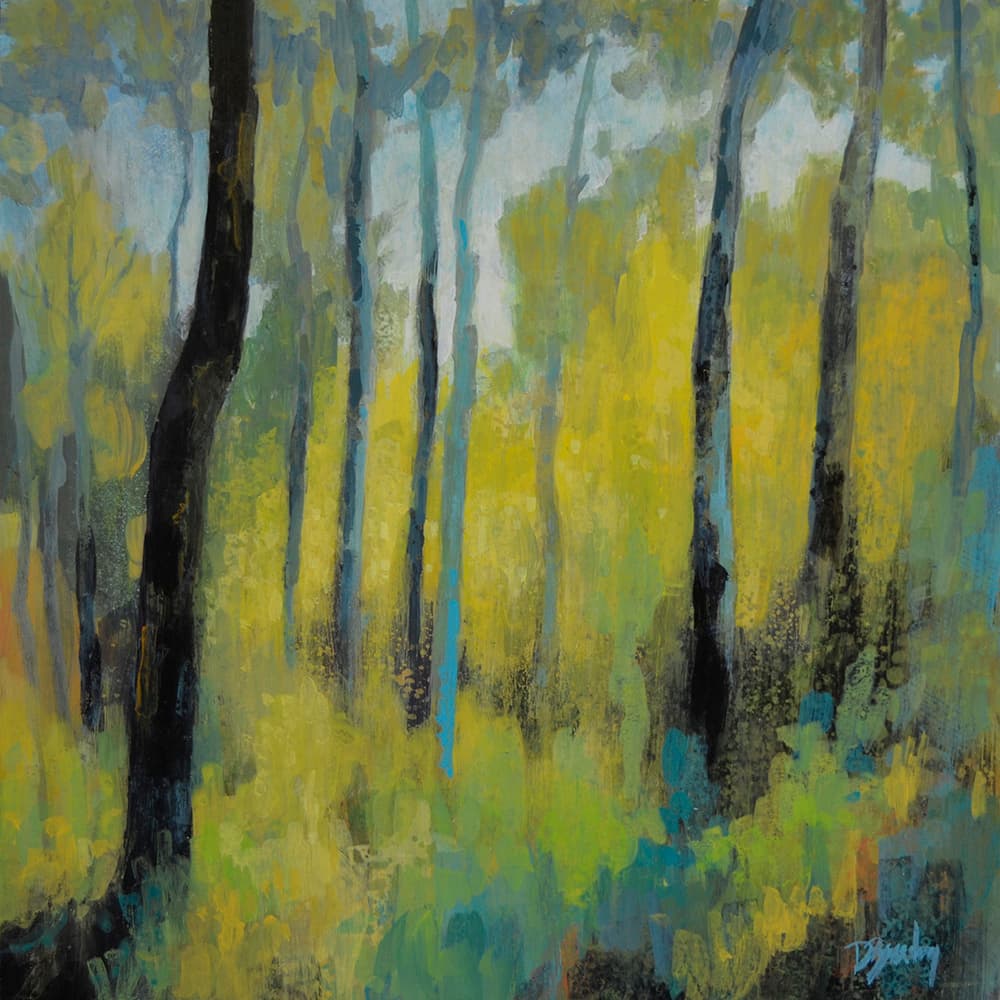 soft colours, off trail, old landscape, aspen, forest