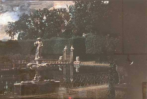 jennifer dickson, photography, etching, royal academy