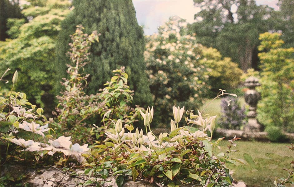 jennifer dickson, photography, etching, royal academy, garden, oasis, get-away