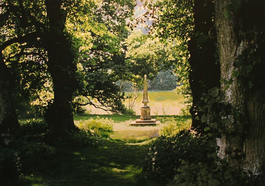jennifer dickson, photography, etching, royal academy, light, forest, England, Canadian art