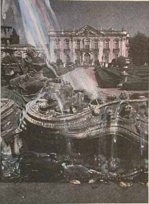 jennifer dickson, photography, etching, royal academy